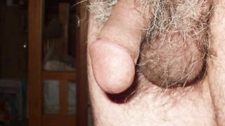 Japanese Mature Man Erect Penis Slide Show