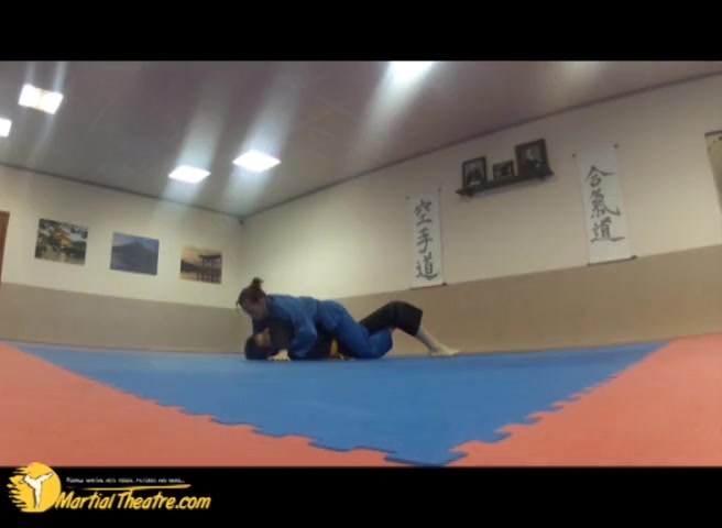 denise sankaku judo techniques